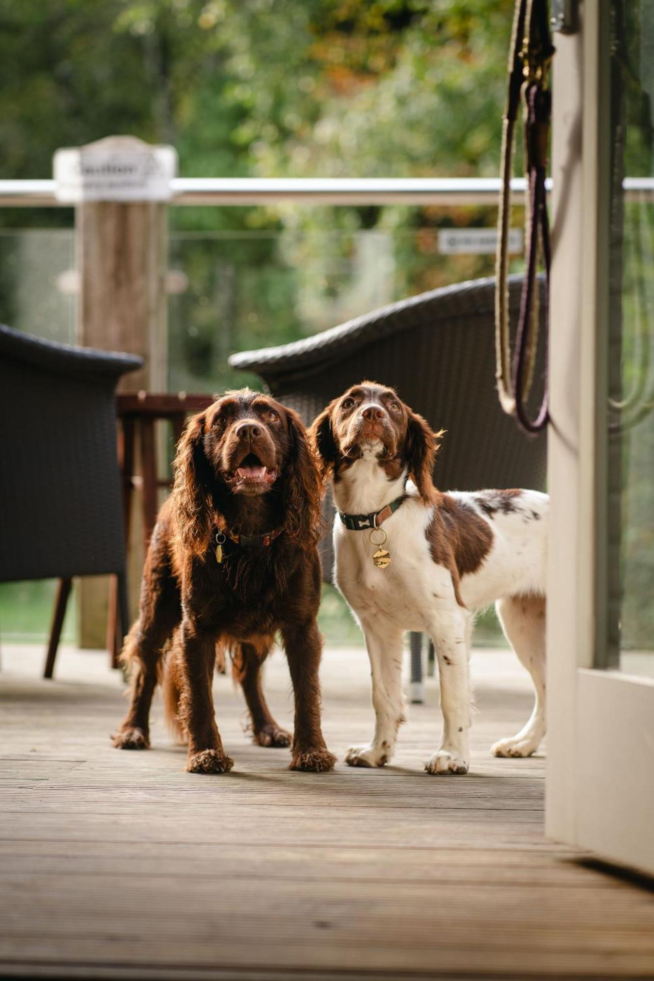 Mill End Hotel Chagford Luaran gambar
